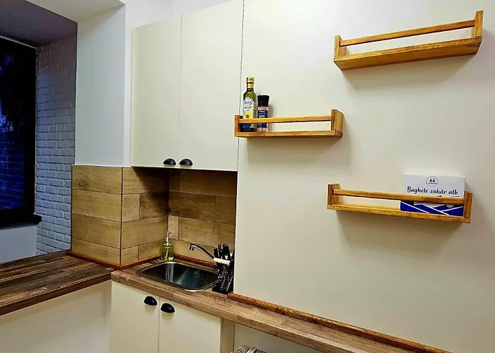 شقة Tantra 4 Calea Victoriei Amzei بوخارست