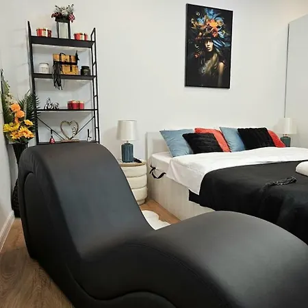 Tantra 4 Calea Victoriei Amzei 公寓 *